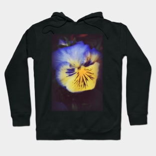 Pansy Glow Hoodie